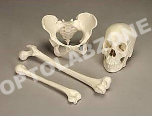 Bone Set