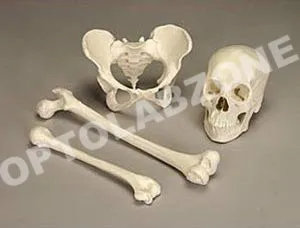 Bone Set