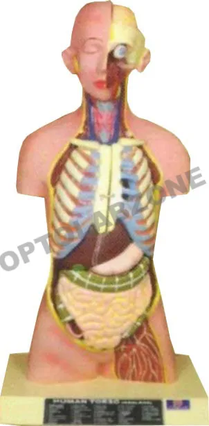 Optolab Zone product