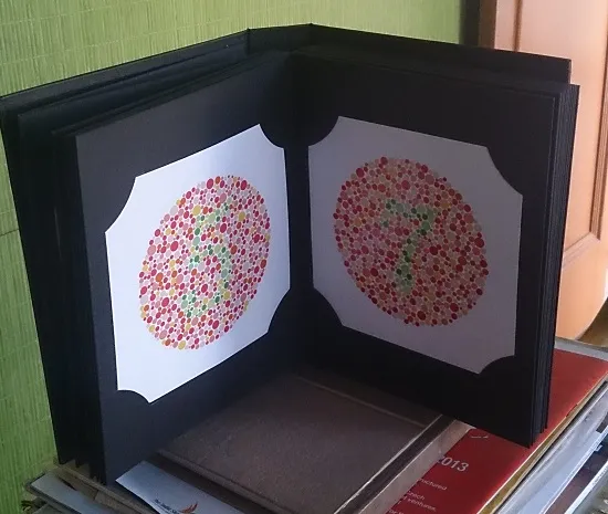 Ishihara Colour Blindness Test Book — view 6 of 6